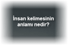 Insan kelimesinin anlami nedir