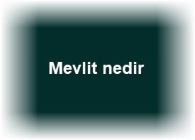 Mevlit nedir