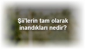 Siilerin tam olarak inandiklari nedir