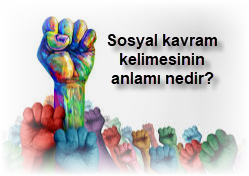 Sosyal kavram kelimesinin anlami nedir