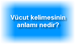 Vucut kelimesinin anlami nedir