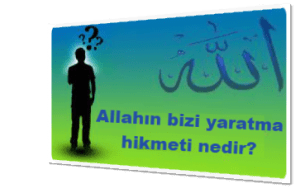 Allahin bizi yaratma hikmeti nedir