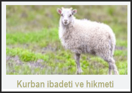 Kurban ibadeti ve hikmeti