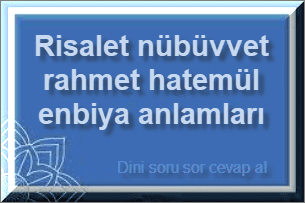 Risalet nubuvvet rahmet hatemul enbiya anlamlari