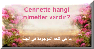 Cennette hangi nimetler vardir