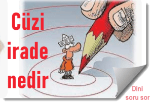 Cuzi irade nedir