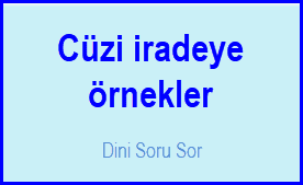 Cuzi iradeye ornekler