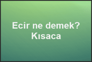 Ecir ne demek