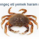 Yengec eti yemek haram mi