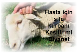 Hasta icin sifa kurbani Kesilir mi Diyanet