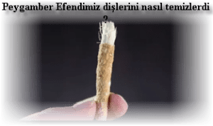 Peygamber Efendimiz dislerini nasil temizlerdi