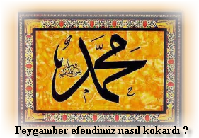 Peygamber efendimiz nasil kokardi