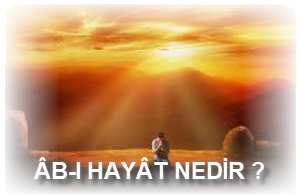 AB I HAYAT NEDIR