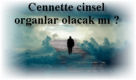 Cennette cinsel organlar olacak mi 1