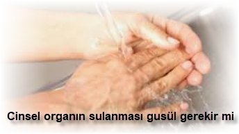 Cinsel organin sulanmasi gusul gerekir mi