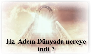 Hz. Adem Dunyada nereye indi