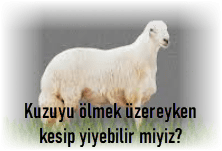 Kuzuyu olmek uzereyken kesip yiyebilir miyiz