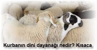 Kurbanin dini dayanagi nedir