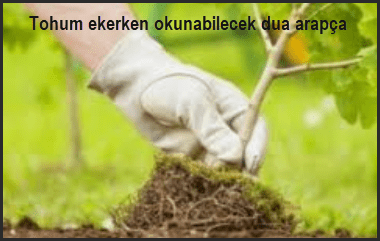 Tohum ekerken okunabilecek dua arapca