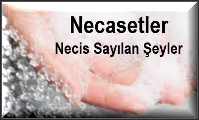 Necasetler Necis Sayilan Seyler