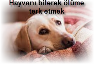 Hayvani bilerek olume terk etmek