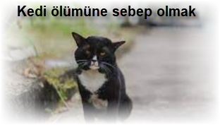 Kedi olumune sebep olmak