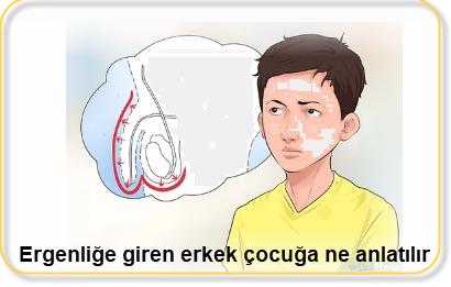 Ergenlige giren erkek cocuga ne anlatilir