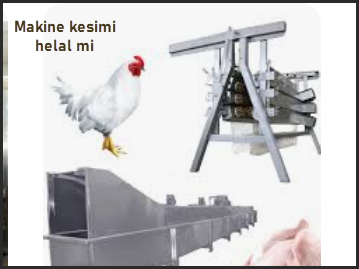 Makine kesimi helal mi