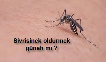 Sivrisinek oldurmek gunah mi