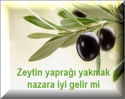 Zeytin yapragi yakmak nazara iyi gelir mi